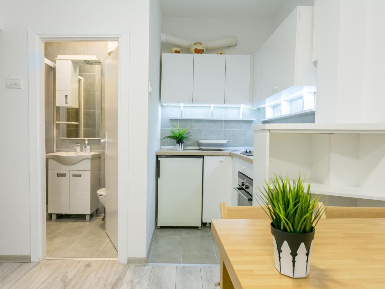 Belgrade Renting Down Apartment Bagian luar foto